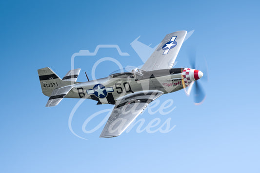 P-51 Mustang 'Marinell'