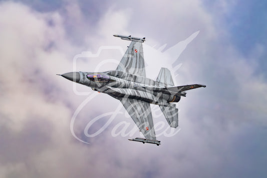 Polish Air Force F16 Tiger Display