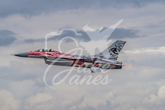 RDAF F16 Solo display